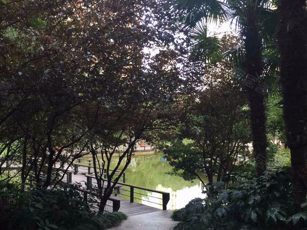 香榭丽花园 松林路333弄 上海香榭丽花园二手房 租房 上海安居客