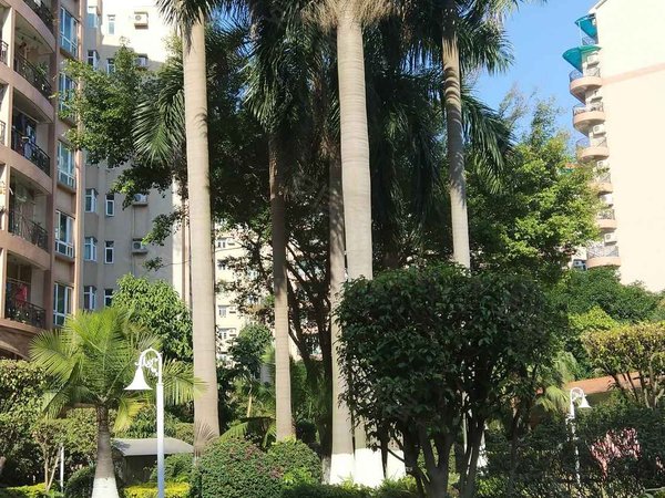 东泰花园裕华苑,泰和商业街-东莞东泰花园