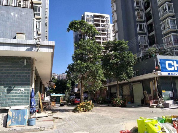 花千树苑(五六期),大亚湾大道 - 深圳花千树苑(五六期)二手房,租房