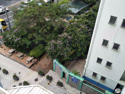 420x315m.jpg?t=1