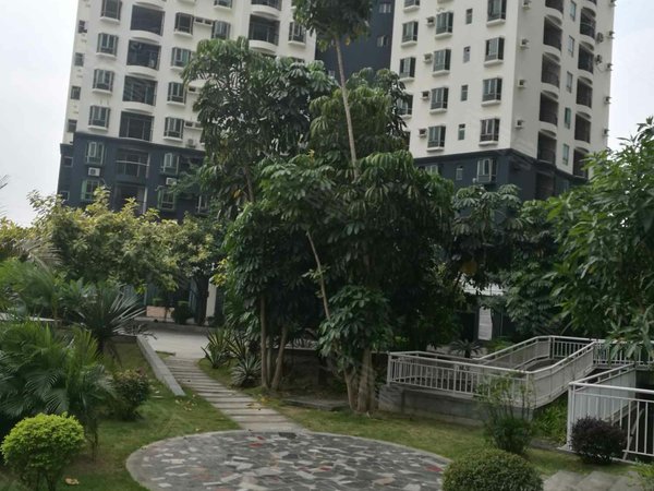 深圳小区 深圳周边小区 东莞小区 泰安城 实景图 1/ 19  