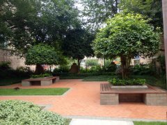 阳光小镇最新视频全集 240x180.jpg?t=1