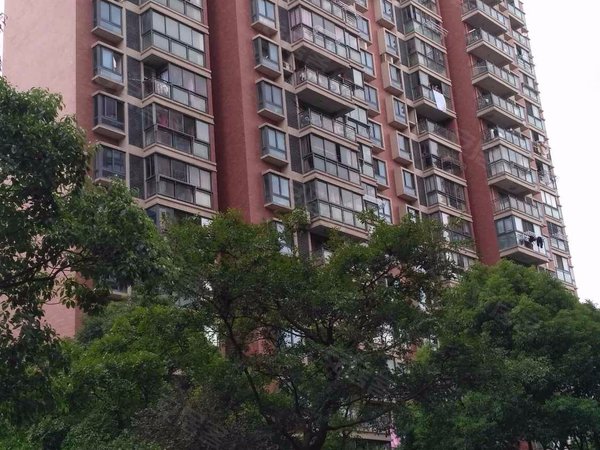 上海小区 松江小区 新桥小区 新弘国际城(公寓住宅)