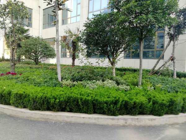 银杏雅苑,滨河路-临沂银杏雅苑二手房,租房-临沂安居客