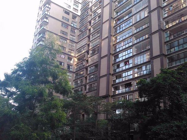 君临天下,竹禅街5号-漳州君临天下二手房,租房-漳州安居客