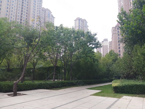 仁恒滨河湾 达文路3号 天津仁恒滨河湾二手房 租房 天津安居客