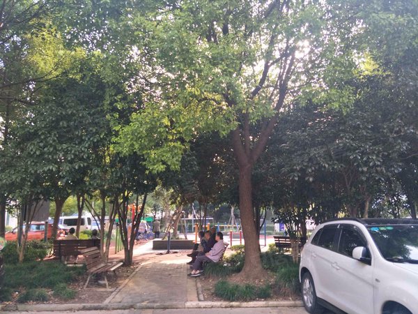 佳林路919弄小区 佳林路919弄 上海佳林路919弄小区二手房 租房 上海安居客