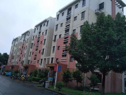 华亭新家银杏苑