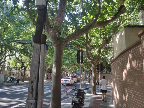 番禹路111号小区 番禹路111号 上海番禹路111号小区二手房 租房 上海安居客