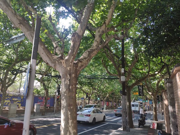 番禹路111号小区 番禹路111号 上海番禹路111号小区二手房 租房 上海安居客