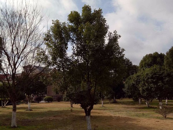 塔山花园,塔山路242号-象山塔山花园二手房,租房-象山安居客