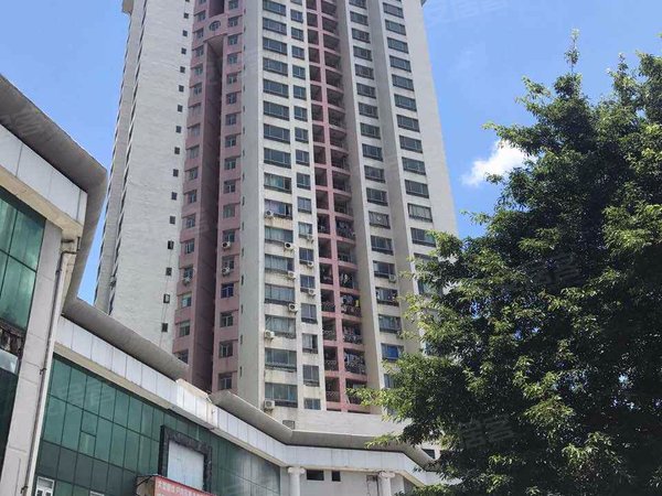 富豪花园(福田),东园路,近南园路 - 深圳富豪花园(福田)二手房,租房