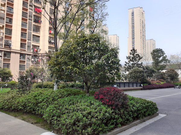 东方龙城木兰苑,环城东路,近环城北路-芜湖东方龙城木兰苑二手房,租房
