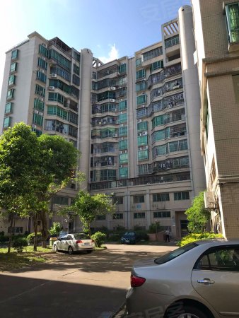 【多图】井岸 中心市场楼上,实中学位,仅售55万-王小凤店铺-珠海安居