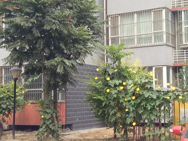 祥安公寓,嘉华路 - 石家庄祥安公寓二手房,租房,房价-石家庄安居客