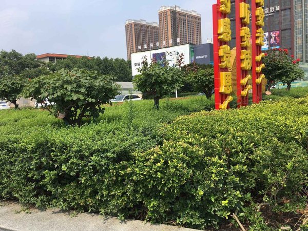 新华城市广场