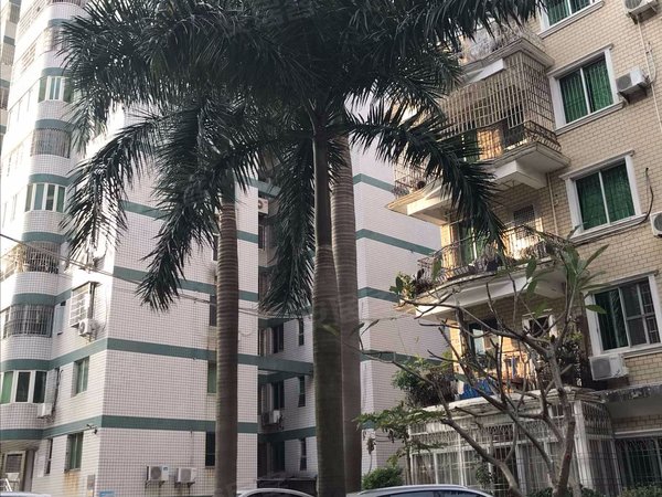 金帝花园,岳阳西里116-130号,仙岳路189-193号 - 厦门金帝花园二手房