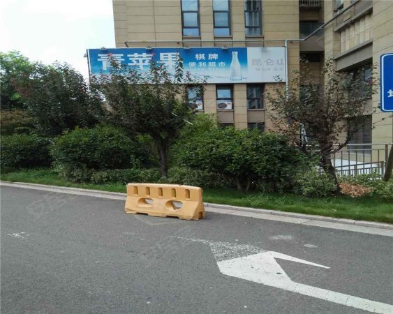 青苹果朝南公寓便宜出售 精装一年家电全送 看