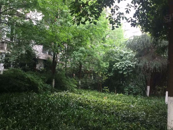 美堤雅城(a区),汇龙路66号 - 重庆美堤雅城(a区)二手房,租房,房价