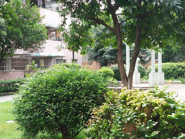 广信金兰花园 金信路1号 广州广信金兰花园二手房 租房 广州安居客