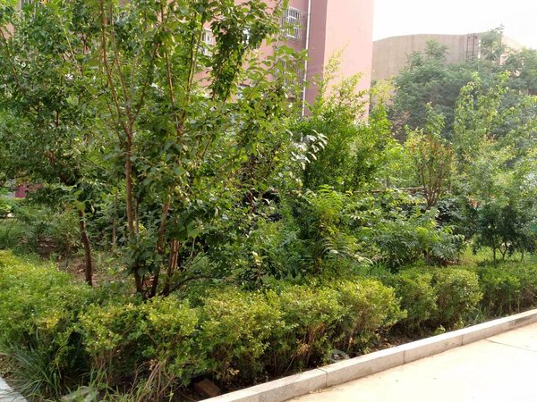 徐州小区 贾汪小区 青山泉镇小区 国宾华府实景图 1/ 16  &