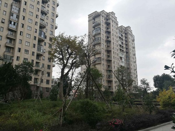 温州小区 苍南小区 龙港小区 金茂花园 实景图 1/ 18  