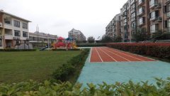240x180.jpg?t=1