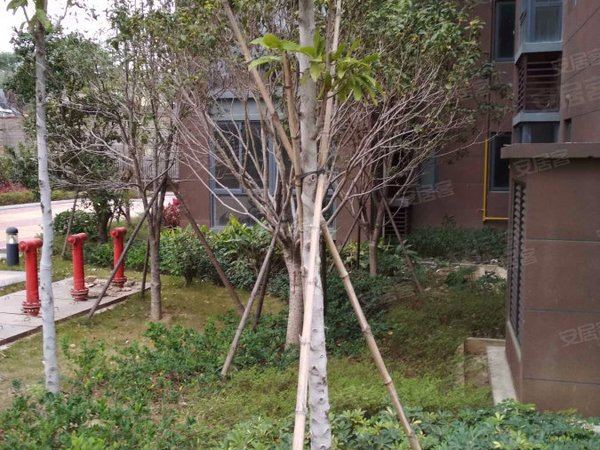 双湖新城四区,北园路1号-福州双湖新城四区二手房,租房-福州安居客