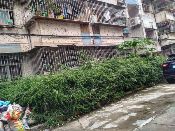 海滨花园(宝安),前进路254号-深圳海滨花园(宝安)二手房,租房-深圳安