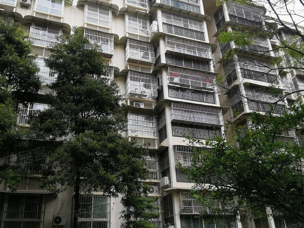 梓城国际