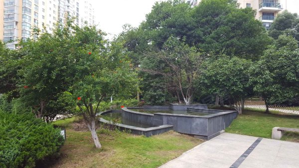 租,中天湖畔花园,金鸡湖,东方之门旁三房朝南,看房方便