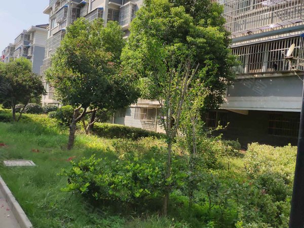 徐州小区 邳州小区 邳州市区小区 馨宁雅居 实景图 1/ 13  