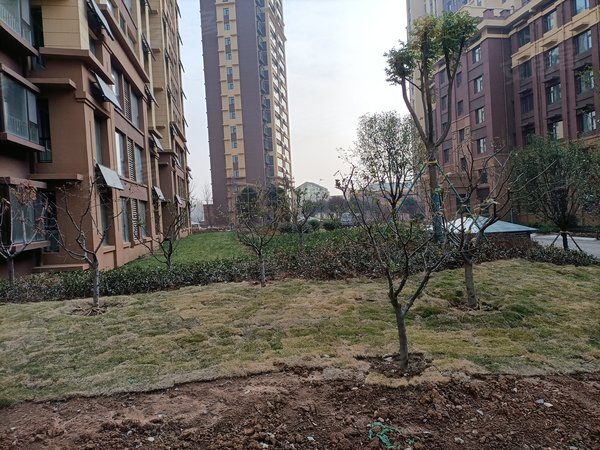 临沂小区 沂水小区 莲旺街小区 龙湾一品