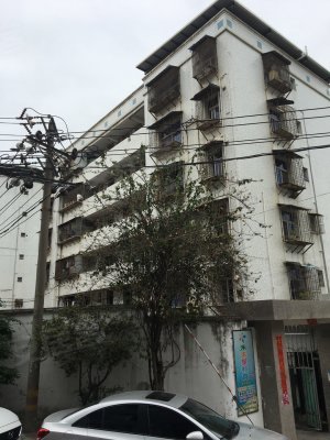杏南中学教师宿舍