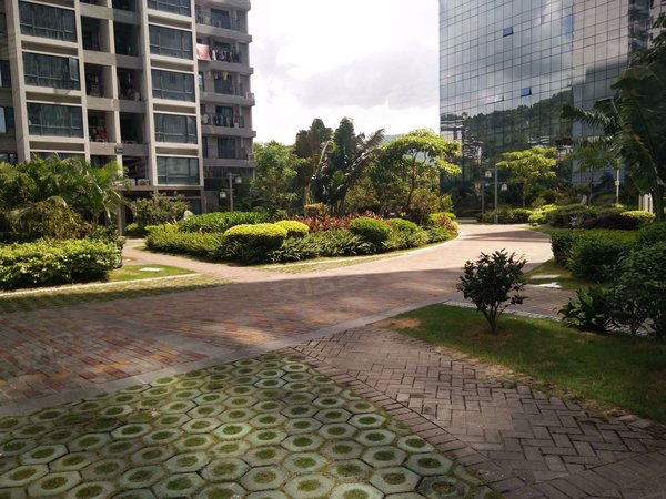 颂德花园(颂德国际)