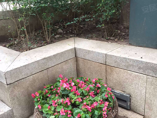 龙湖春森彼岸 1期 北滨一路258号 重庆龙湖春森彼岸 1期 二手房 租房 重庆安居客 龙湖春森彼岸 1期 北滨一路258号 重庆龙湖春森彼岸 1期 二手房 租房 重庆安居客