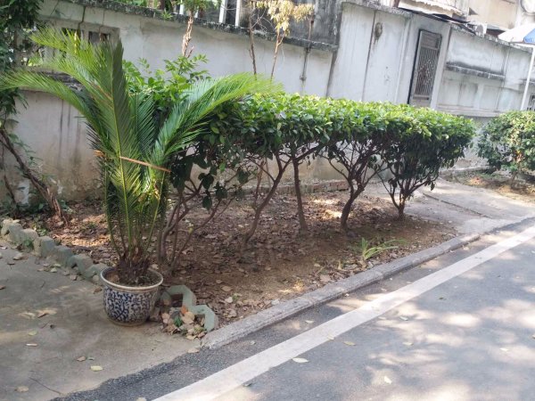 对口广埠屯小学卓刀泉中学,现在只要160万啦!