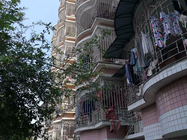 福建省计委住宅 北环西路599号 福州福建省计委住宅二手房 租房 福州安居客 福建省计委住宅 北环西路599号 福州福建省计委住宅二手房 租房 福州安居客