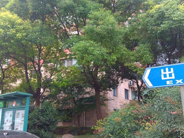 沙田大厦 长寿路569弄1号 上海沙田大厦二手房 租房 上海安居客