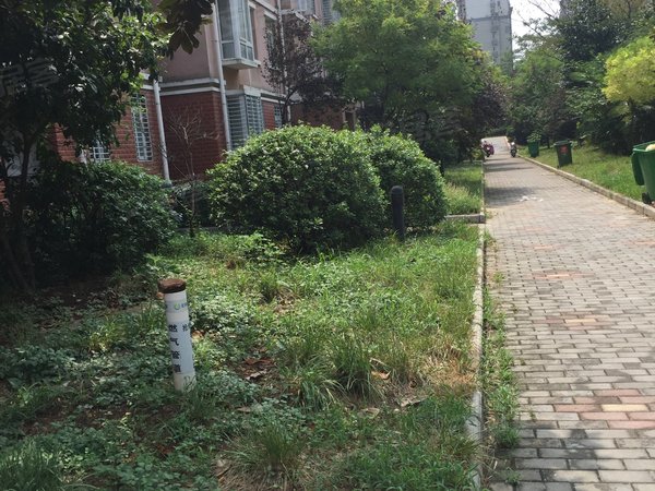 东风小区(巢湖市),玉泉路-巢湖东风小区(巢湖市)二手房,租房-巢湖安居