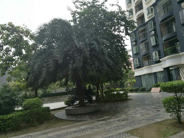 深圳小区 深圳周边小区 东莞小区 泰安城