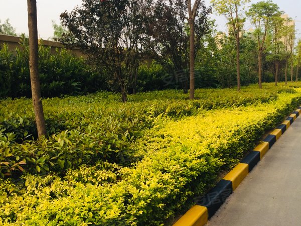 瀚宇天悦(三期)