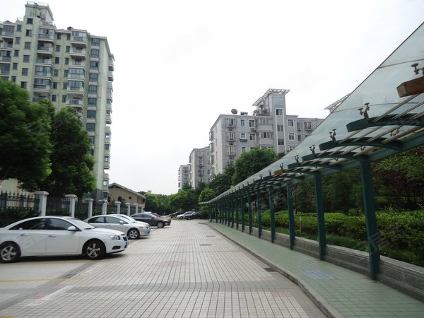 上海小区 徐汇区小区 植物园小区 鑫龙苑 实景图 1 20&