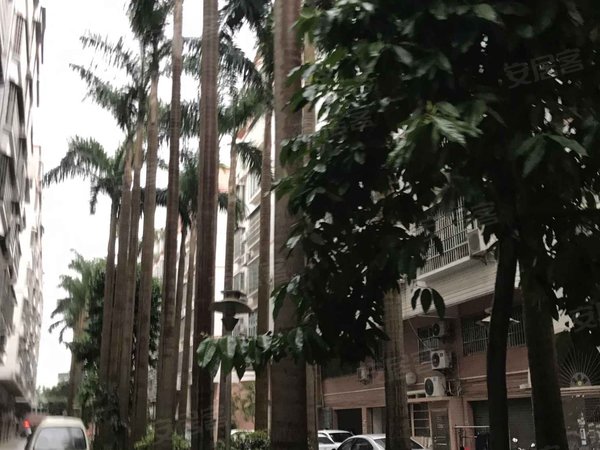 宝丽花园 宝堤东路18号 江门宝丽花园二手房 租房 江门安居客