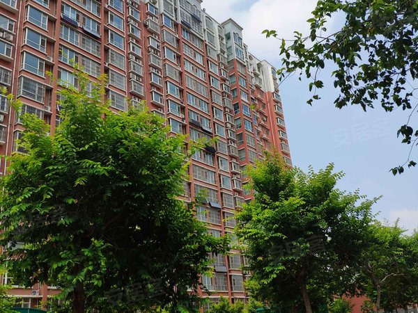 德州小区 夏津小区 夏津城区小区 丽景国际实景图 1/ 8  