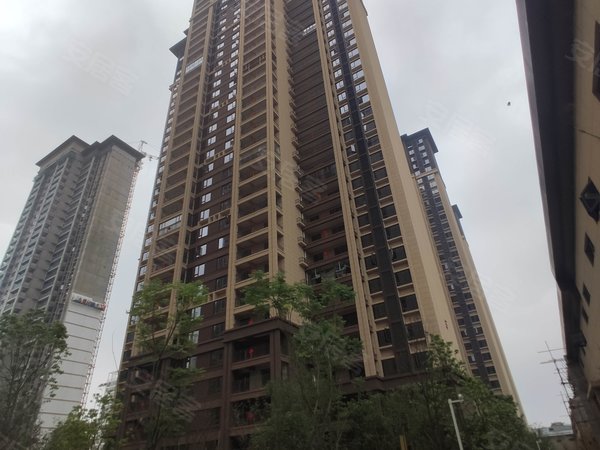 中建荆州之星