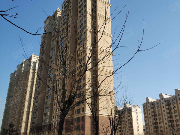 å¸é½è±èæ·åå¾å®æ¯å¾ç