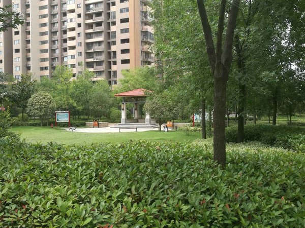 天明城人和苑小区,平安路 - 周口天明城人和苑小区二手房,租房,房价