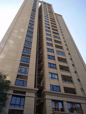 江南新区驿鑫广场3房 业主急售,价格面议