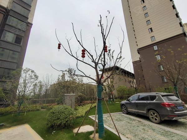 蚌埠小区 怀远小区 禹王中路小区 毅德城书香苑实景图 1/ 14 